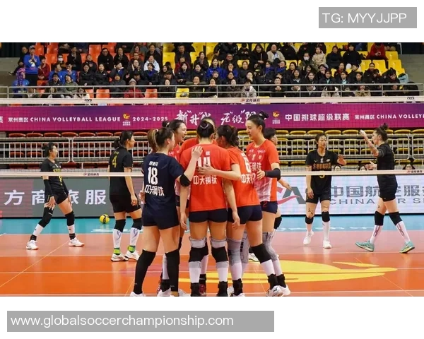 南京排球队的节奏解析与深度剖析排球运动的魅力与挑战